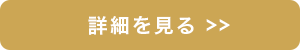 詳細を見る