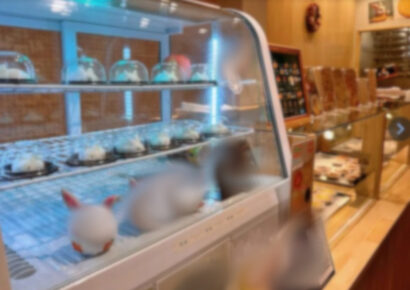 心斎橋北商店街のど真ん中!!唯一無二のロケーション(=ﾟωﾟ)ﾉ